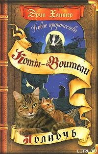 Книга Полночь