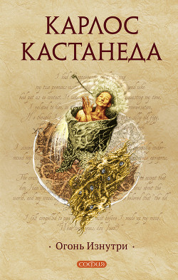 Книга Огонь изнутри