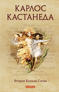 Книга Второе кольцо силы