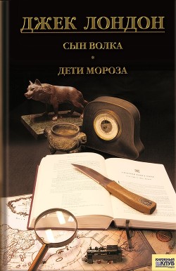 Книга Сын Волка