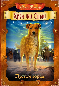 Книга Пустой город