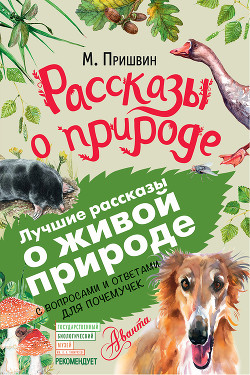Книга «Изобретатель»