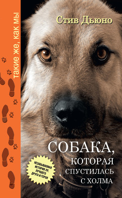 Книга Собака, которая спустилась с холма. Незабываемая история Лу, лучшего друга и героя