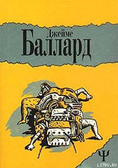 Книга Похищенный Леонардо
