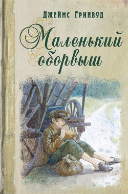 Книга Маленький оборвыш (др. перевод)