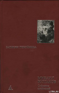 Книга Записки на манжетах