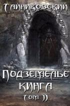 Книга Подземелье Кинга. Том II (СИ)