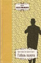 Книга Гибель пилота
