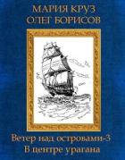 Книга В центре урагана (СИ)