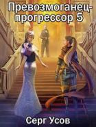 Книга ПП 5 (СИ)