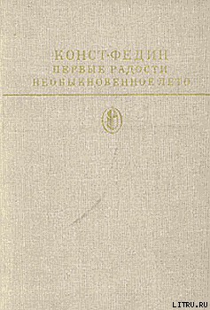 Книга Необыкновенное лето
