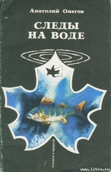 Книга Следы на воде