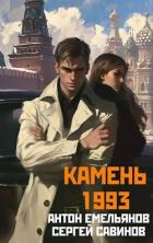 Книга Камень 1993. Книга 1 (СИ)
