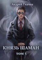 Книга Князь шаман. Том 5 (СИ)