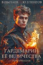 Книга Гардемарин Ее Величества. Инкарнация (СИ)