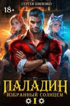 Книга Паладин Том 1 (СИ)