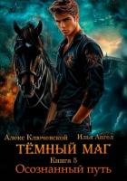 Книга Тёмный маг. Книга 5. Осознанный путь
