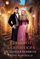 Книга Приворот для ревизора. Истинная поневоле (СИ)