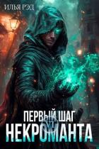 Книга Первый шаг Некроманта. Том 6 (СИ)
