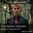 Книга Аттестат зрелости 2 (СИ)