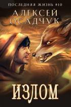 Книга Излом (СИ)