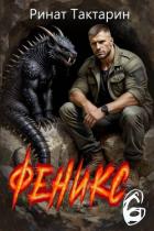 Книга Феникс 6 (СИ)
