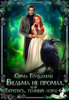 Книга Ведьма не промах, или Берегись, темный лорд (СИ)