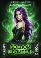 Книга Класс: Боевой Целитель. Том 2 (СИ)