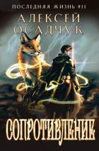 Книга Сопротивление (СИ)