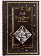 Книга Остин и Джостин: близнецы во времени (ЛП)