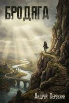 Книга Бродяга (СИ)