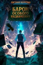 Книга Барон особого назначения 3 (СИ)