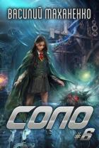 Книга Соло. Книга 6 (СИ)