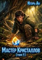 Книга Мастер кристаллов (СИ)