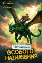 Книга Учитель Особого Назначения. Том 9 (СИ)