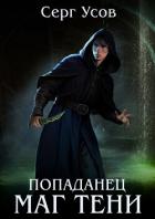 Книга Попаданец. Маг Тени. Книга 13 (СИ)