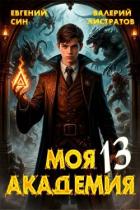 Книга Моя Академия 13 (СИ)