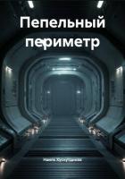 Книга Пепельный периметр
