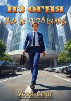Книга Из огня да в полымя. Книга 4 (СИ)