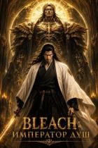 Книга Bleach: Император душ. Том 1 (СИ)